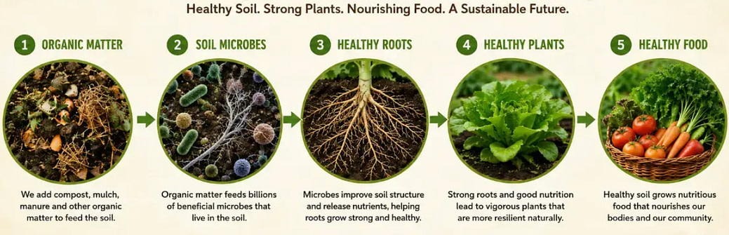 reduced-garden-graphic-post