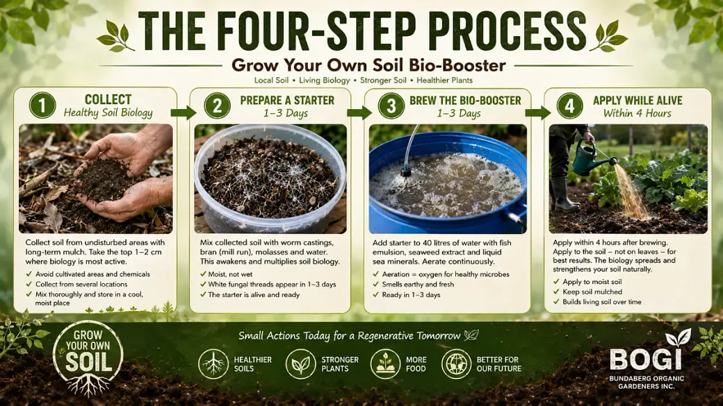 infographic-soil-bio-booster
