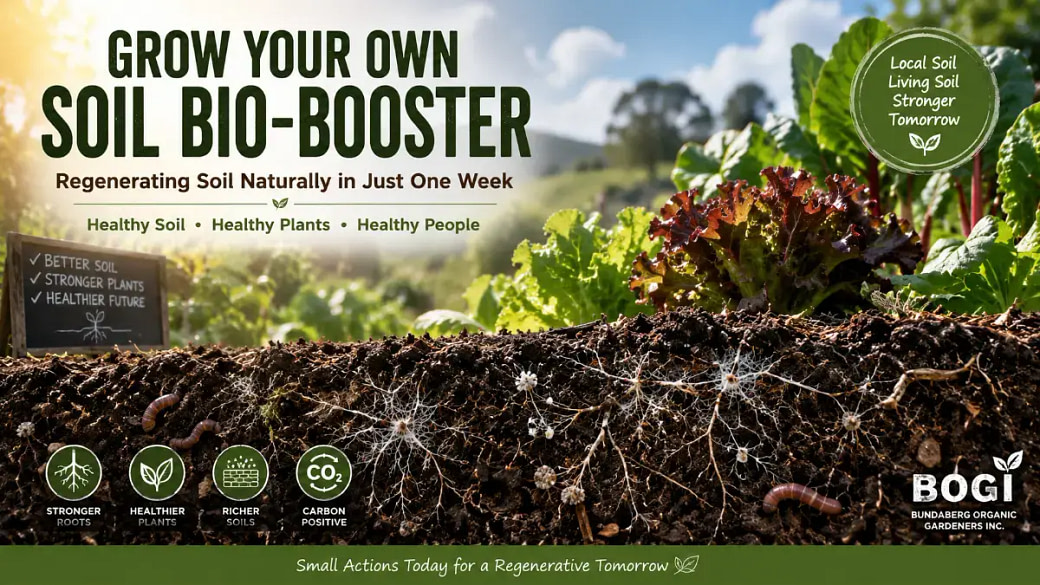 soil-booster-blog