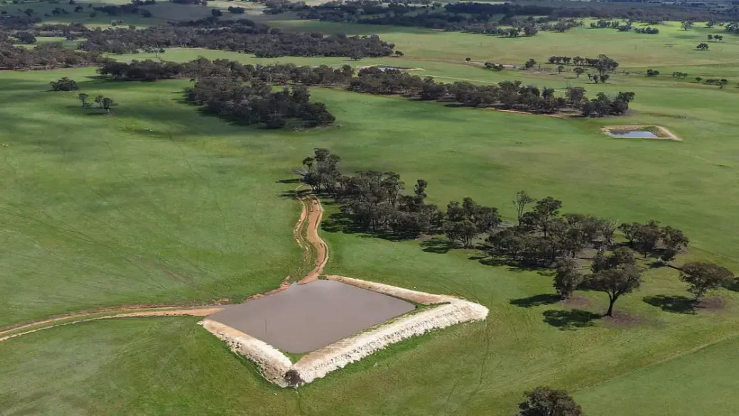 water-saving-steers