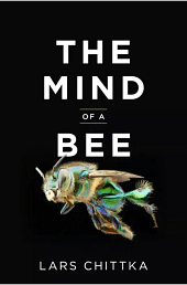 the-mind-of-a-bee