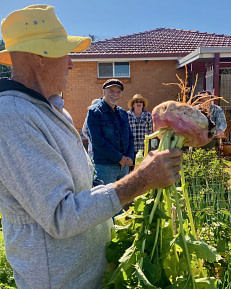 bogi-visit-member-garden-turnip