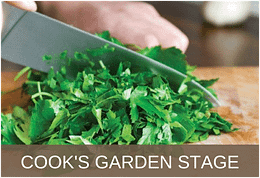 Queensland Garden Show Bogi Visit Bundaberg Organic Gardeners 2025