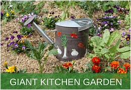 Queensland Garden Show Bogi Visit Kitchen garden Bundaberg Organic Gardeners 2025