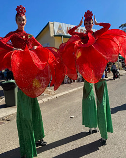 Queensland Garden Expo Bogi Bundaberg organic gardeners
