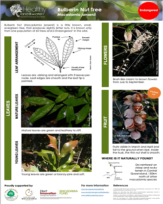 macadamia-info-sheet