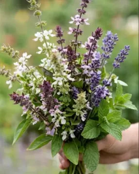 basil-bouquet-blog
