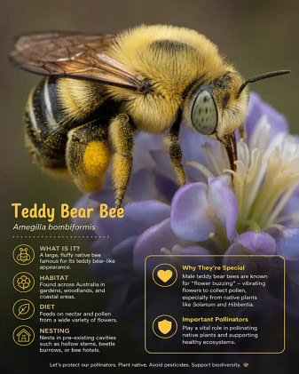 teddy-bear-bee (1)