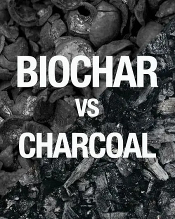 pachamama-charcoal-bogi-speaker-bundaberg-organic-gardeners