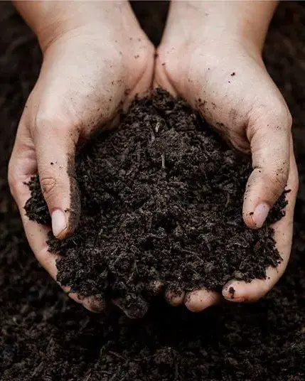 pachamama-soil-health-bogi-speaker-bundaberg-organic-gardeners