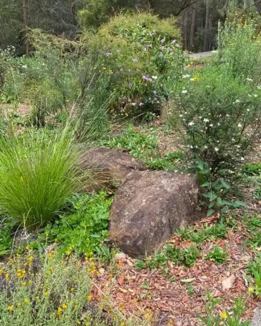 bogi-blog-garden2-bundaberg-organic-gardeners (1)