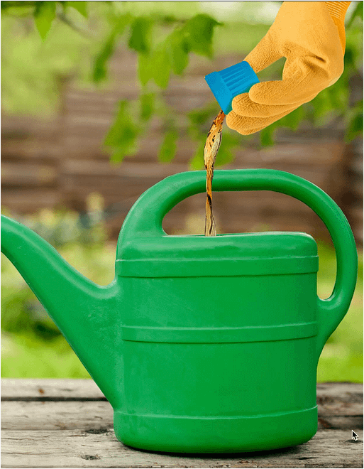 watering-can-sea-minerals