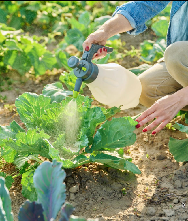 foliar-spray-sea-minerals